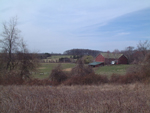 Stateline Woods